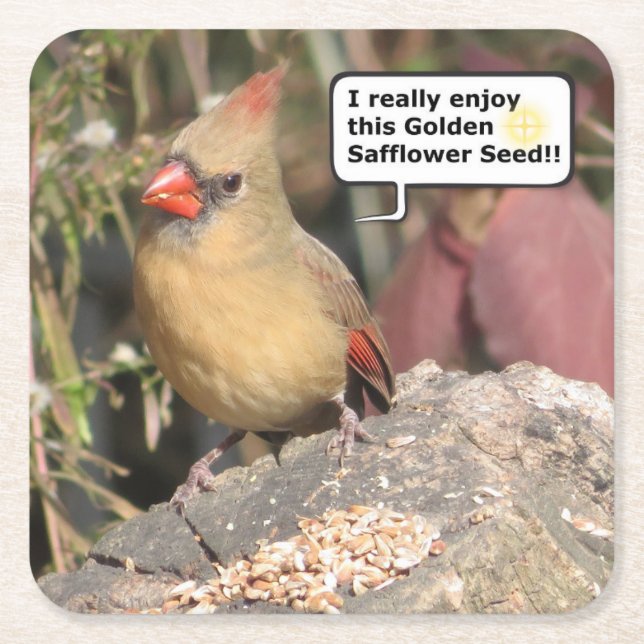 Female Northern Cardinal Coaster Set. (Front)
