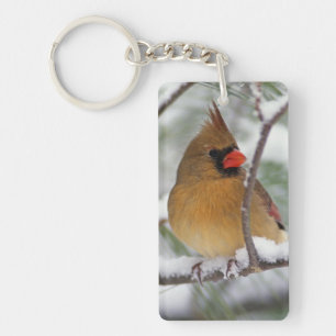 Female Northern Cardinal in snowy pine tree, Keychain