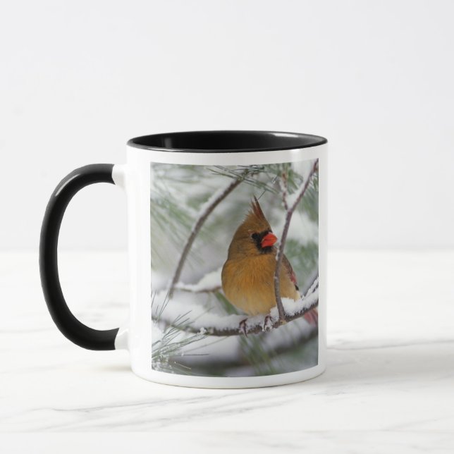 Female Northern Cardinal in snowy pine tree, Mug (Left)