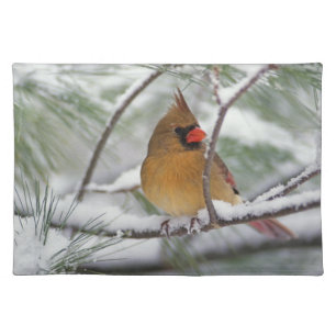 Female Northern Cardinal in snowy pine tree, Placemat