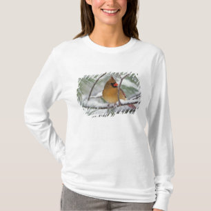 Female Northern Cardinal in snowy pine tree, T-Shirt