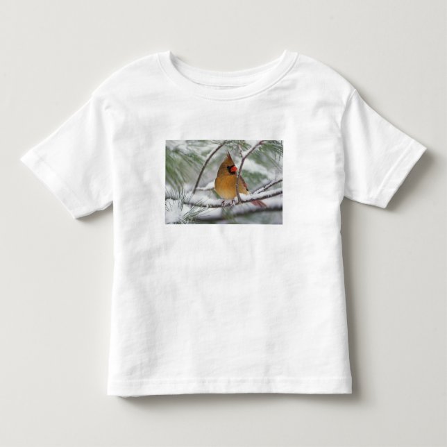 Female Northern Cardinal in snowy pine tree, Toddler T-shirt (Front)