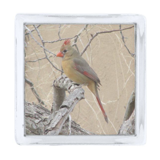 Female Northern Cardinal Silver Finish Lapel Pin (Front)