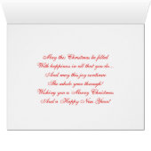 Female Northern Cardinal Sitting On Snowy Tree (Inside Horizontal (Bottom))