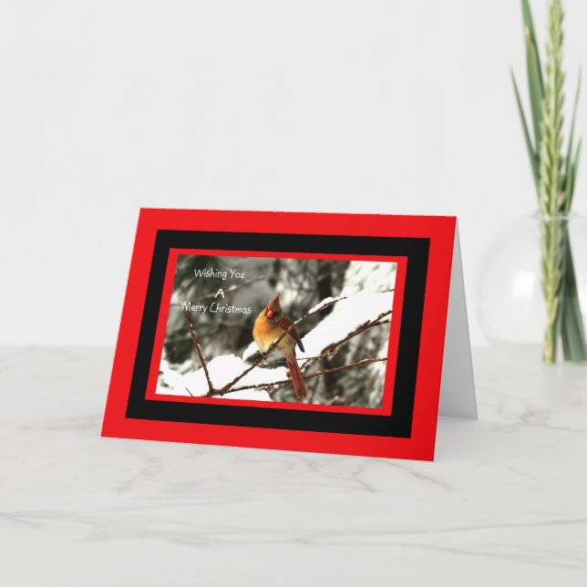 Female Northern Cardinal Sitting On Snowy Tree Holiday Card (Front)