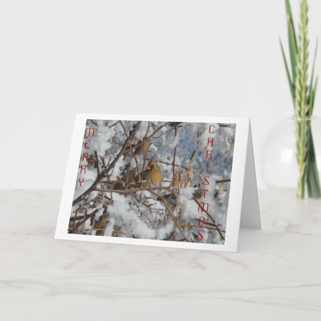 Female Northern Cardinal & Snowy Tree Holiday Card (Front)