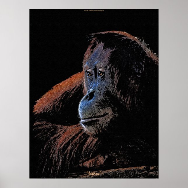 Female Orangutan Great Ape Wildlife Art Poster (Front)