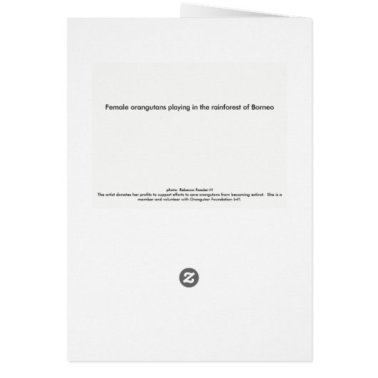 Female Orangutans in the Jungle of Borneo (Back)