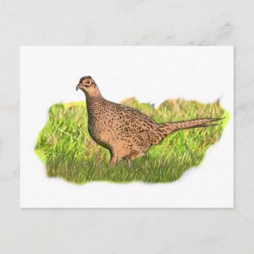 Female Pheasant in the grass Postcard