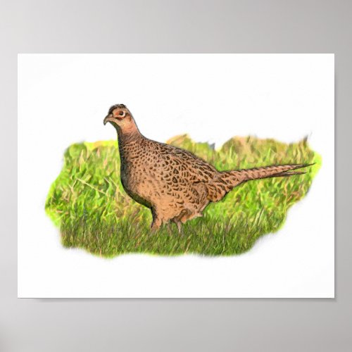 Female Pheasant in the grass Poster