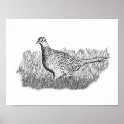 Female Pheasant Poster