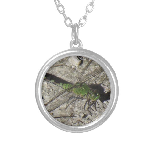 Female Podhawk Dragonfly Pendent Silver Plated Necklace (Front)