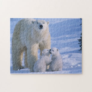 Female Polar Bear Standing with 2 Cubs Jigsaw Puzzle