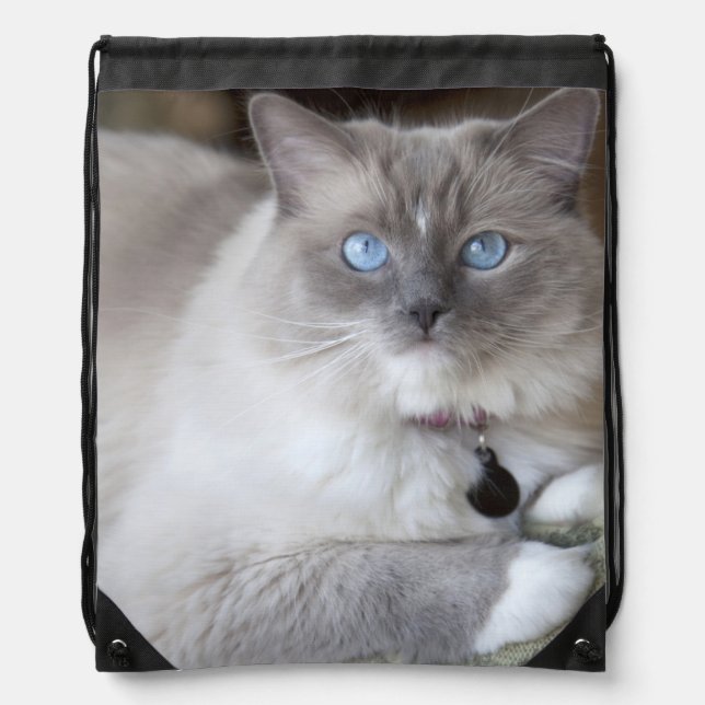 Female Ragdoll Cat Drawstring Bag (Front)