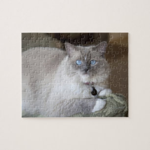 Female Ragdoll Cat Jigsaw Puzzle