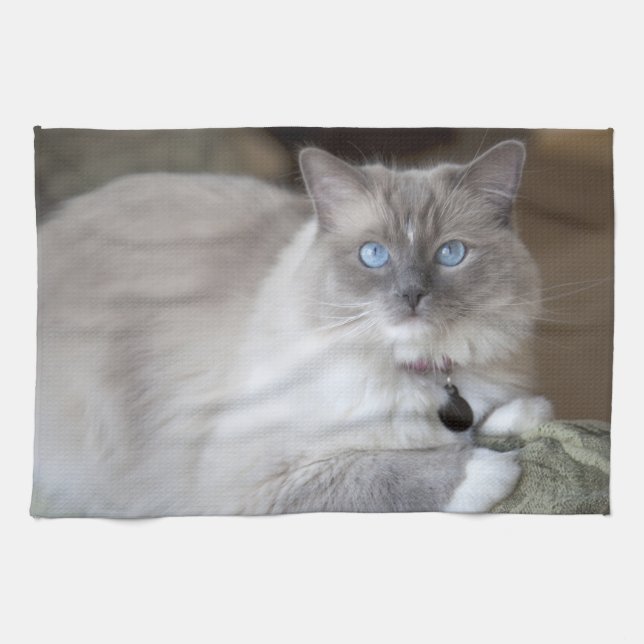 Female Ragdoll Cat Kitchen Towel (Horizontal)