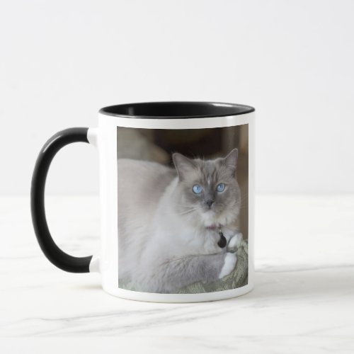 Female Ragdoll Cat Mug