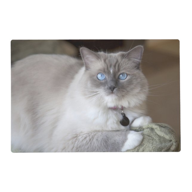 Female Ragdoll Cat Placemat (Front)