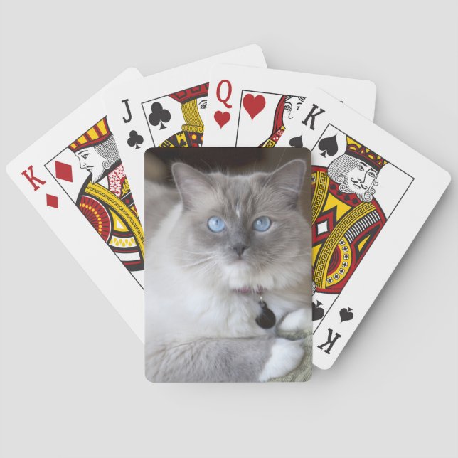 Female Ragdoll Cat Poker Cards (Back)