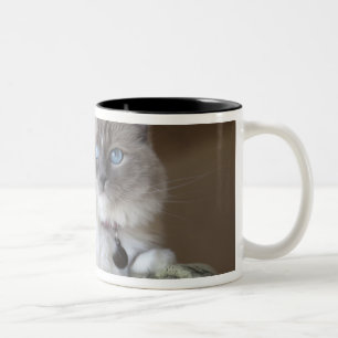 Female Ragdoll Cat Two-Tone Coffee Mug