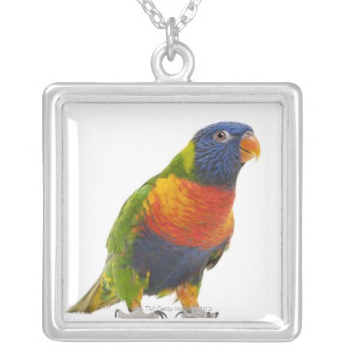 Female Rainbow Lorikeet _ Trichoglossus Silver Plated Necklace