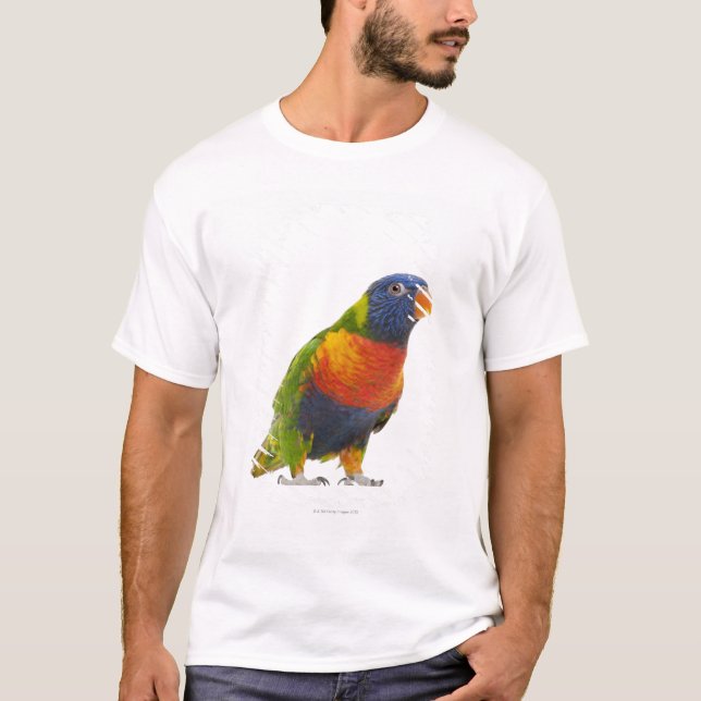 Female Rainbow Lorikeet - Trichoglossus T-Shirt (Front)