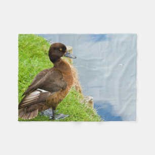 Female reddish Brown Tufted Diving Duck in grass Fleece Blanket