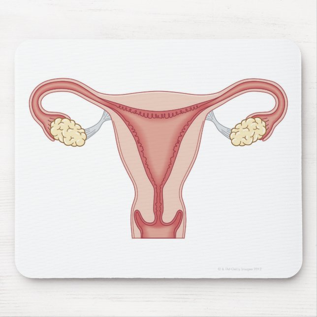 Female Reproductive System 2 Mouse Pad (Front)