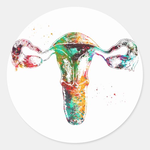Female Reproductive System Classic Round Sticker