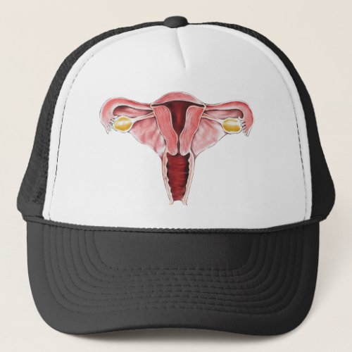 Female Reproductive System hat