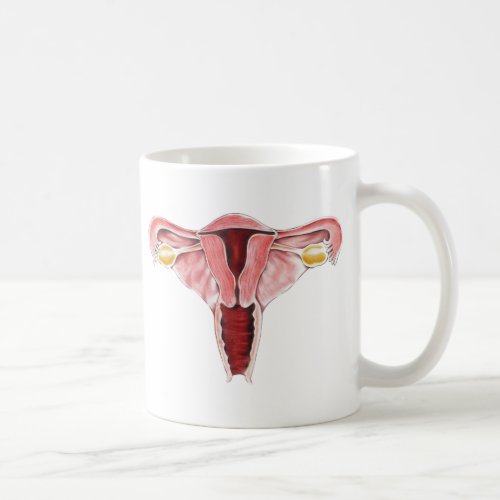 Female reproductive system mug