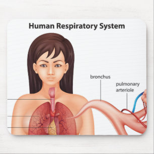 Female respiratory system mouse pad