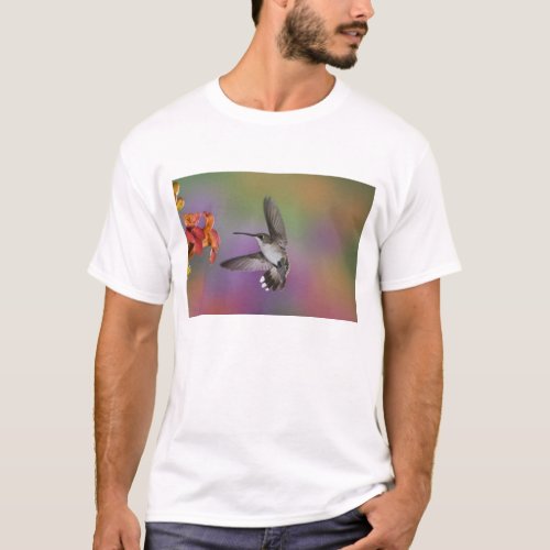 Female Ruby Throated Hummingbird in flight 2 T_Shirt
