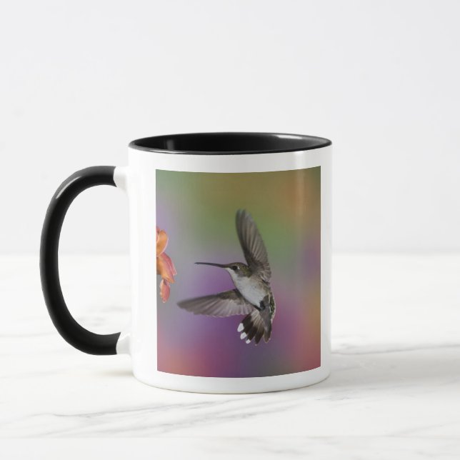Female Ruby Throated Hummingbird in flight Mug (Left)