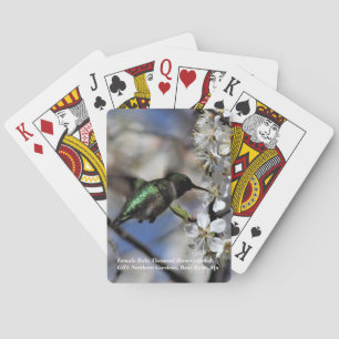 Female Ruby Throated Hummingbird Poker Cards