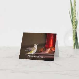 Female Ruby-throated Hummingbird Thinking Of You Card