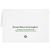 Female Rufous Hummingbird - Cards (Back Horizontal)