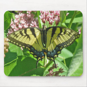 Female Tiger Swallowtail Mousepad