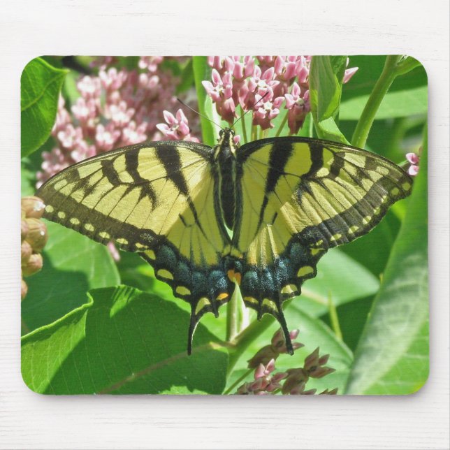 Female Tiger Swallowtail Mousepad (Front)