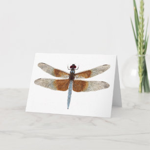 Female Widow Skimmer Dragonfly Card