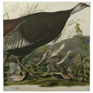 Female Wild Turkey from Audubon's Birds of America Cloth Napkin