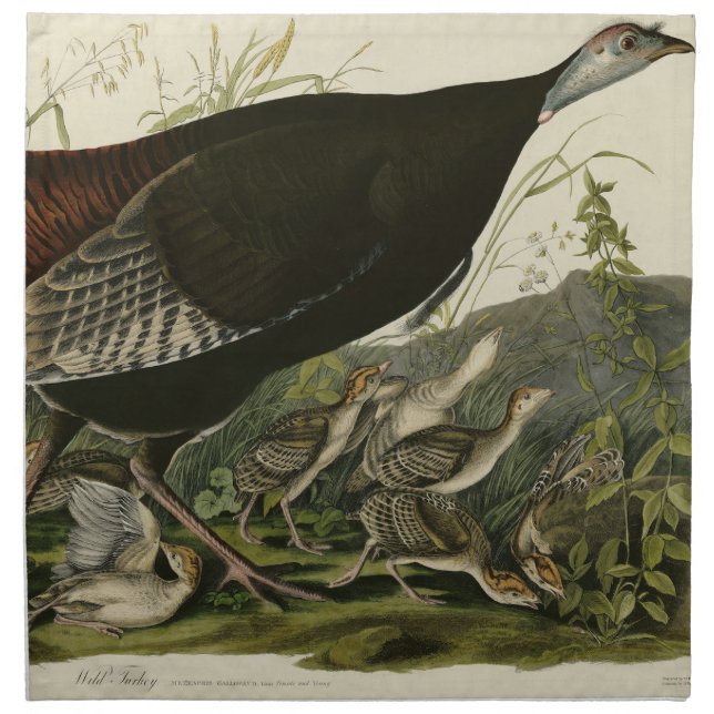 Female Wild Turkey from Audubon's Birds of America Cloth Napkin (Front)