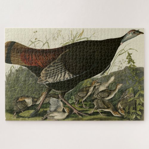 Female Wild Turkey from Audubons Birds of America Jigsaw Puzzle