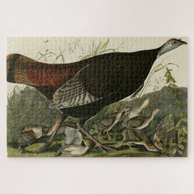Female Wild Turkey from Audubon's Birds of America Jigsaw Puzzle (Horizontal)