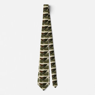 Female Wild Turkey from Audubon's Birds of America Neck Tie