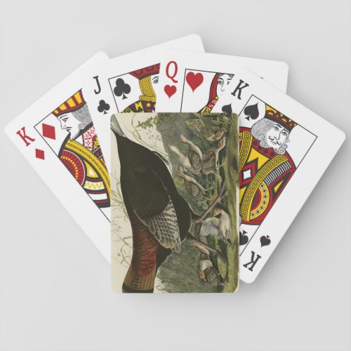 Female Wild Turkey from Audubons Birds of America Poker Cards