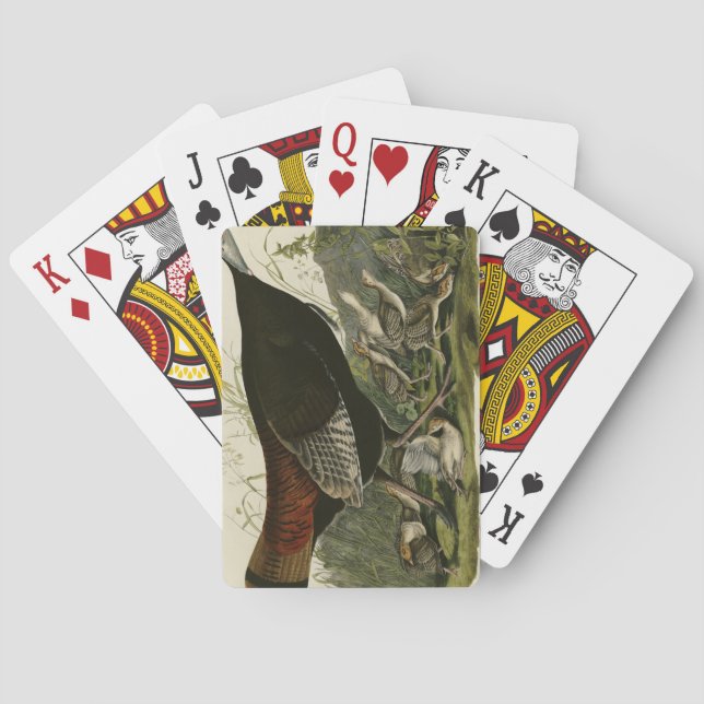 Female Wild Turkey from Audubon's Birds of America Poker Cards (Back)