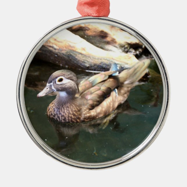 Female Wood Duck Metal Ornament (Front)