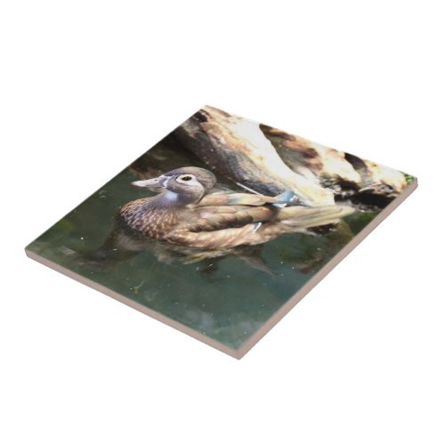 Female Wood Duck Tile