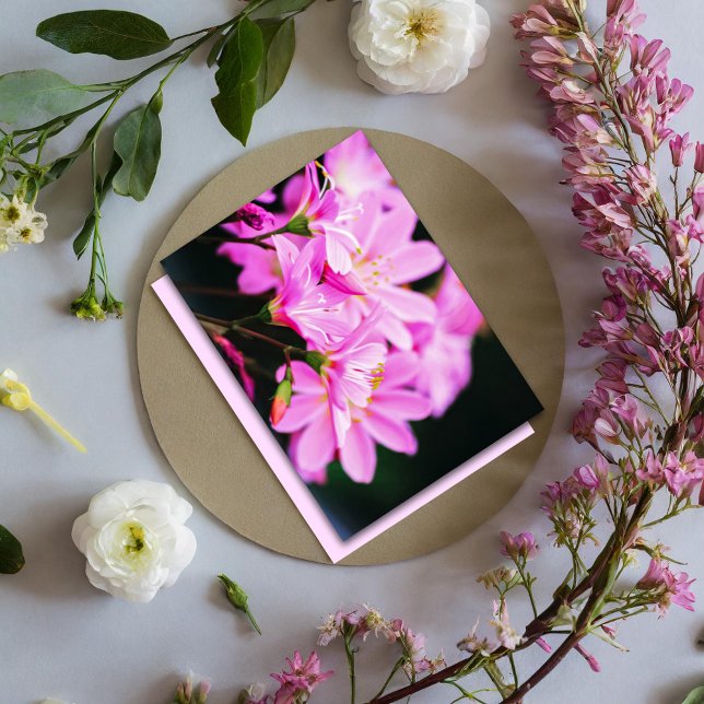 Feminine Light Pink Floral Photography Nature  Note Card (Creator Uploaded)